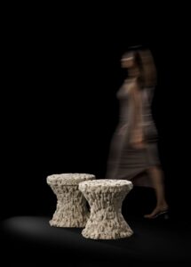 Mushroom -Stool