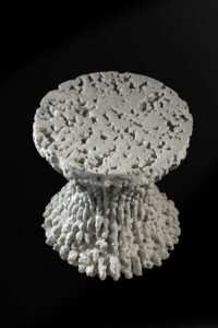 Mushroom Stool